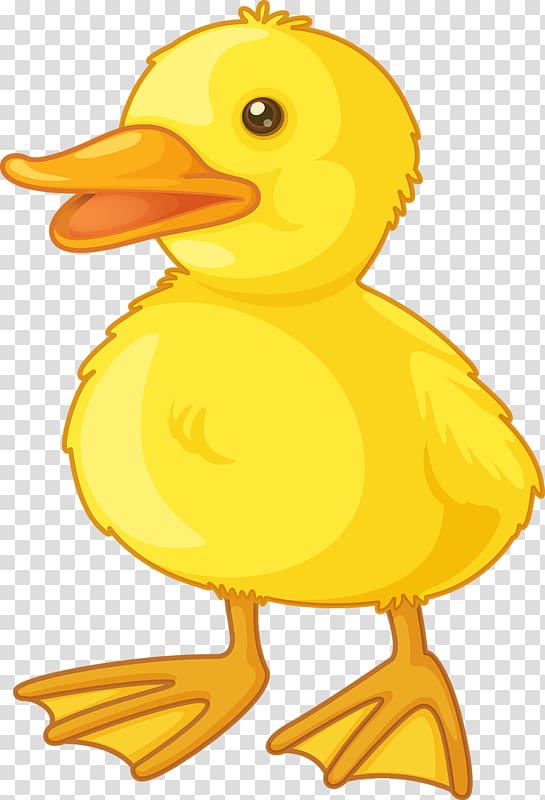 Yellow Duck Cartoon Images - Cartoon Bird Yellow | Driskulin