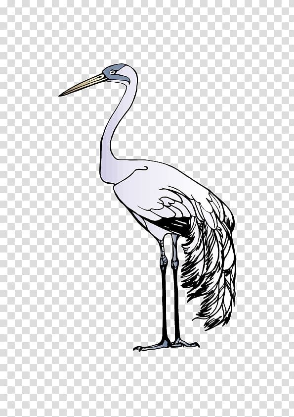 Red-crowned crane Bird Yancheng Coastal Wetlands, Crane material transparent background PNG clipart