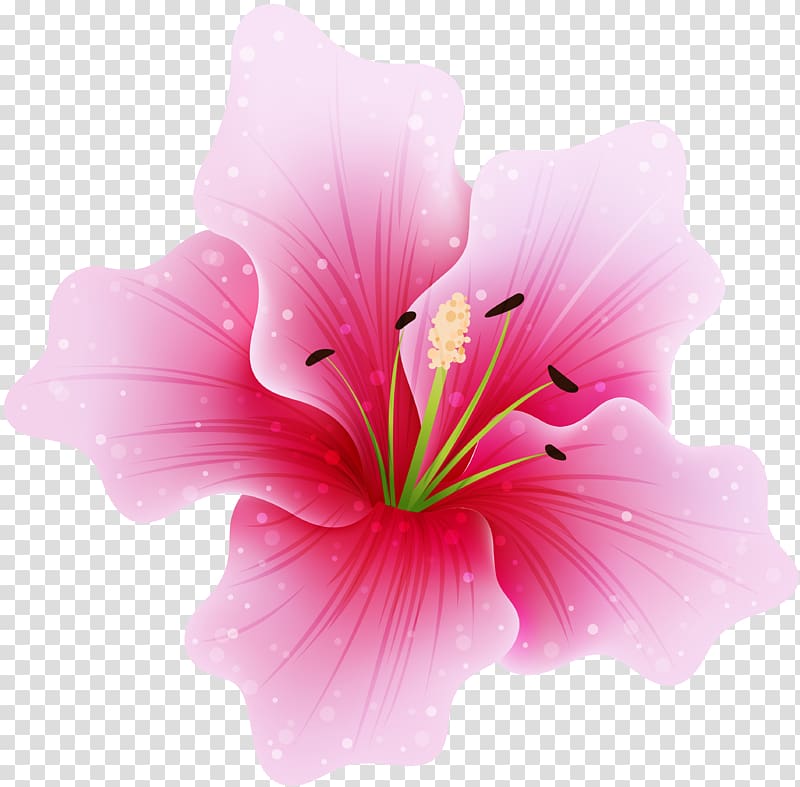 Pink flowers , flower Drawing transparent background PNG clipart