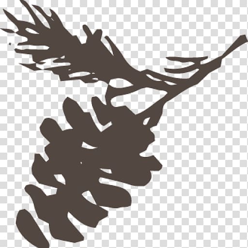 Bird of prey Silhouette Beak , Muddy Puddles transparent background PNG clipart