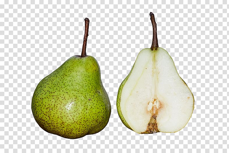 Shipova Gymnosporangium Fruit Asian pear Food, prickly pear illustration transparent background PNG clipart