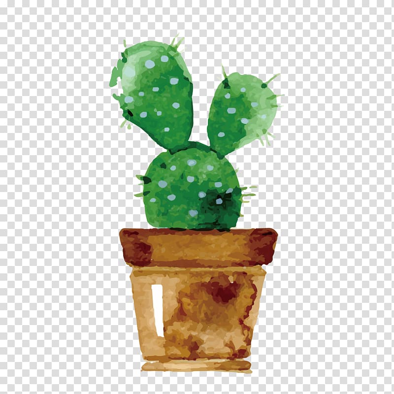 cactus illustration, Cactaceae Watercolor painting Drawing Succulent plant , Watercolor cactus transparent background PNG clipart