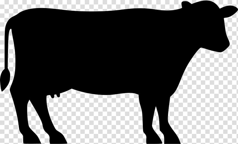 silhouette cow illustration, Angus cattle Beef cattle Silhouette , cow transparent background PNG clipart