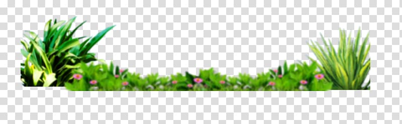Grasses , Beautifully fresh grass beautiful flowers bottom decoration transparent background PNG clipart