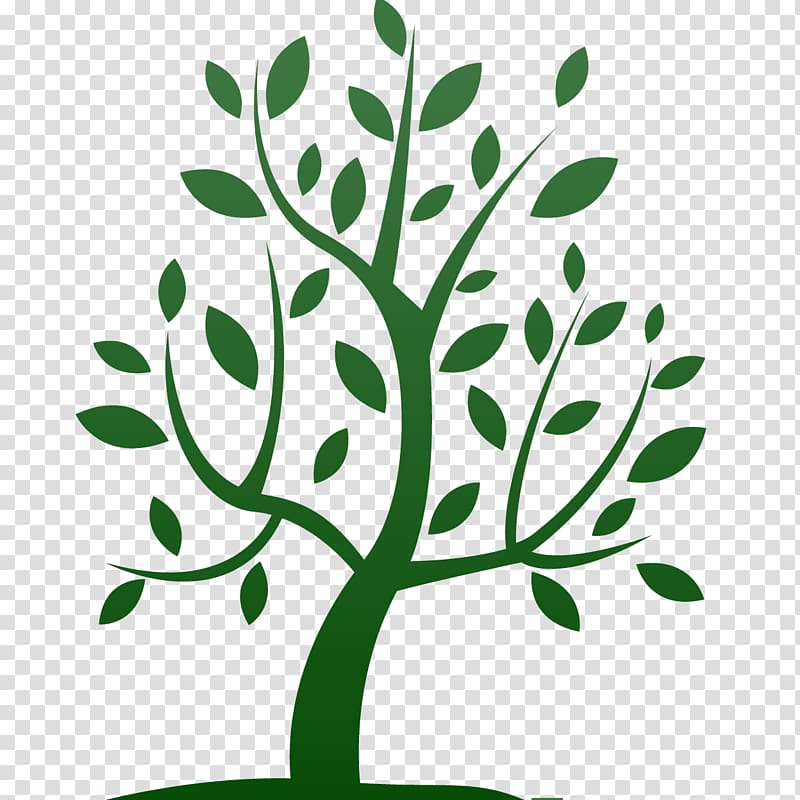 People, even more than things, have to be restored, renewed, revived, reclaimed, and redeemed; never throw out anyone. Interpersonal relationship Coaching Divorce Woody plant, tree transparent background PNG clipart