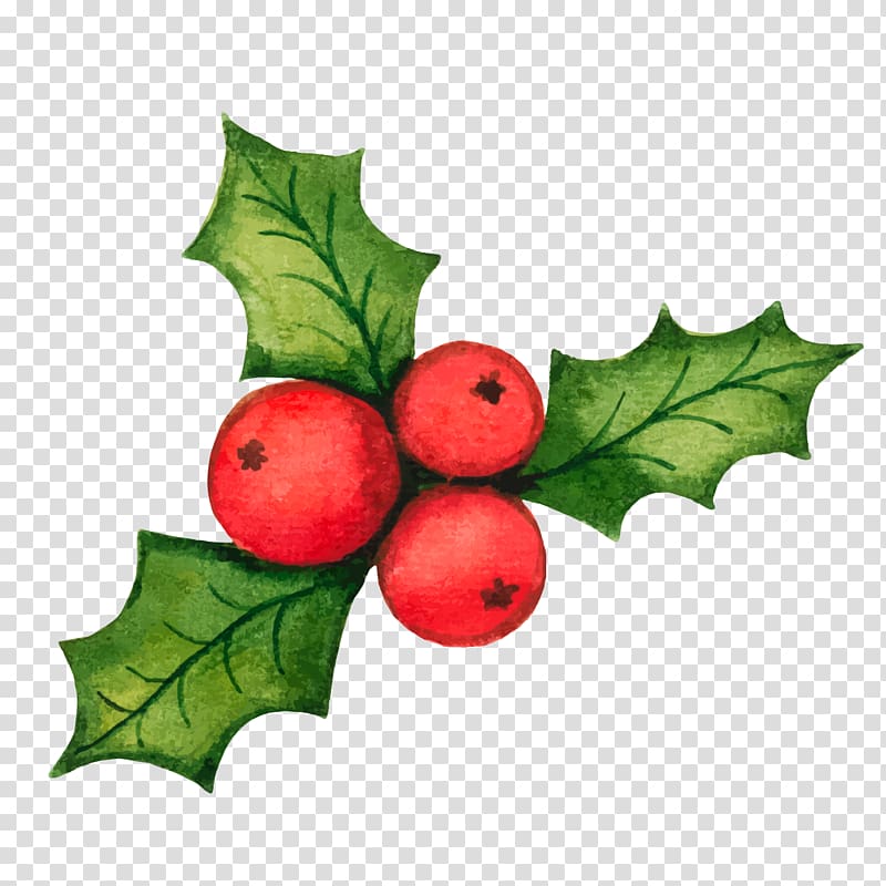 Free download Common holly Christmas decoration