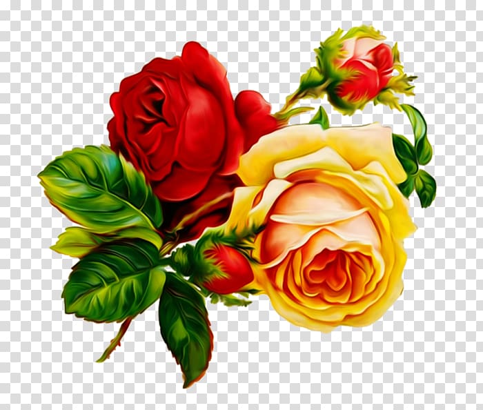 Vintage Roses: Beautiful Varieties for Home and Garden Floral design Flower , rose transparent background PNG clipart
