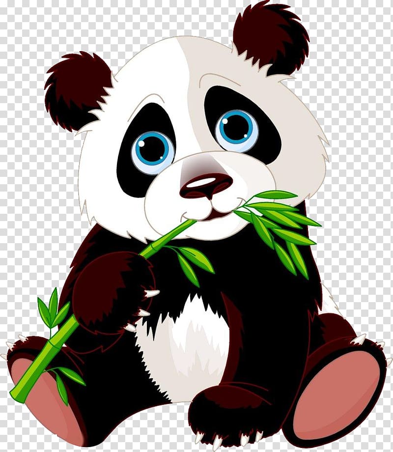 white and black panda illustration, Giant panda Bear Red panda Cartoon, Eat bamboo panda transparent background PNG clipart