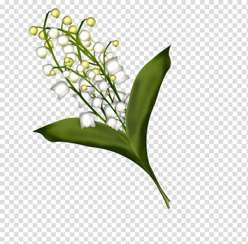 Lily of the valley , lily of the valley transparent background PNG clipart