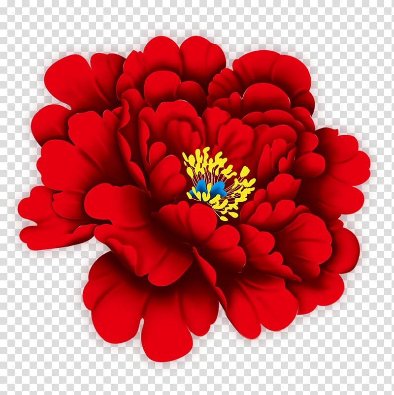red peony illustration, Hotan Flower Beach rose Moutan peony, Red peony flowers transparent background PNG clipart