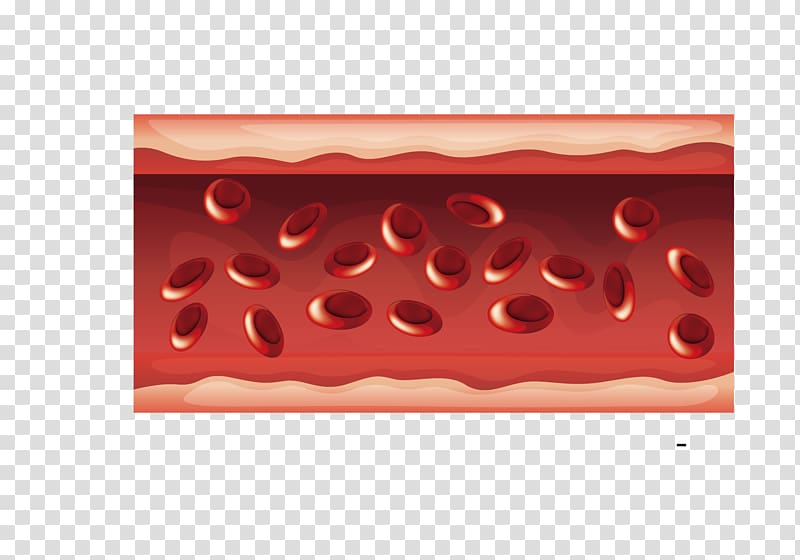 skin illustration, Blood vessel Heart Organ, cartoon pattern heart and brain blood vessels transparent background PNG clipart