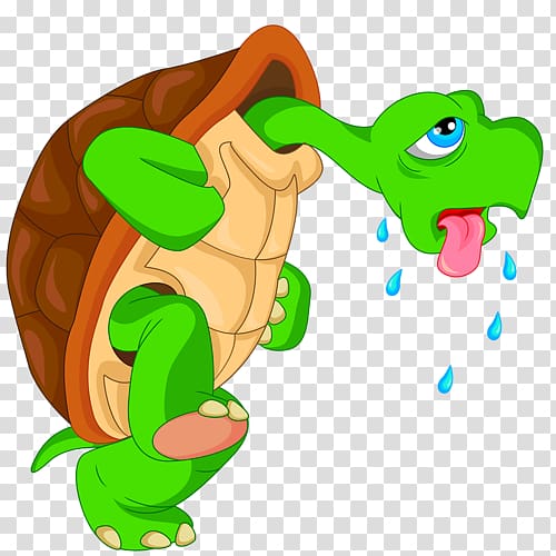 Turtle graphics Cartoon Illustration, turtle transparent background PNG clipart