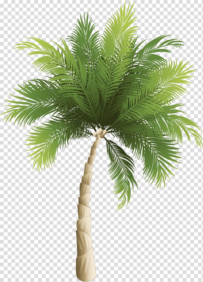 cartoon green coconut tree transparent background PNG clipart