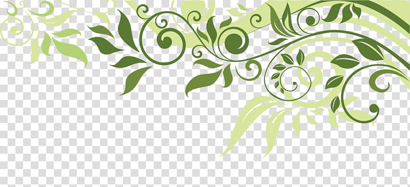 Flower Banner Spring Illustration, Leaf border, green leaf illustration transparent background PNG clipart
