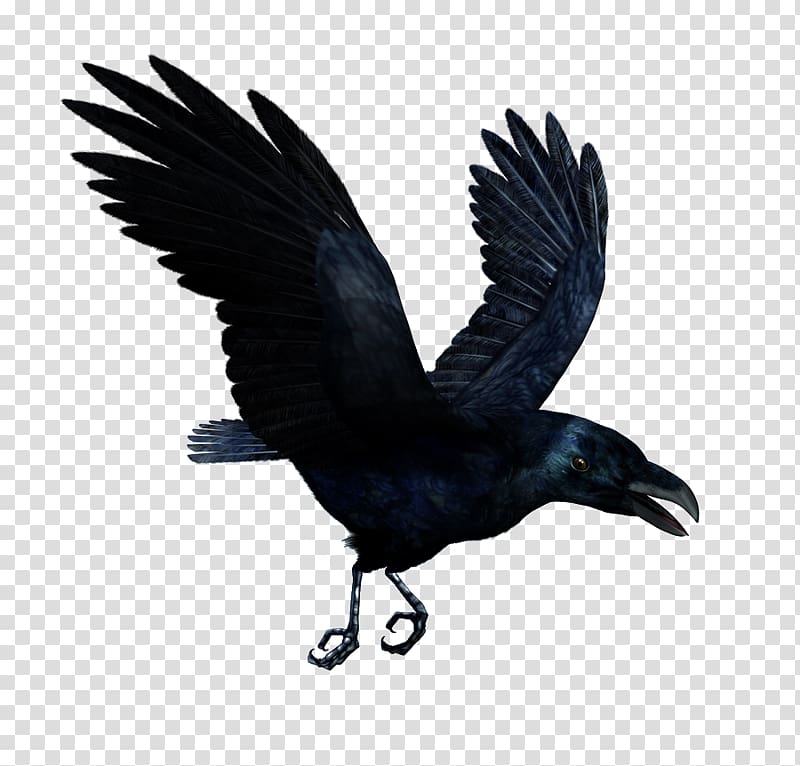 raven illustration, T-shirt Hoodie Lower-back tattoo, Raven Flying HD transparent background PNG clipart