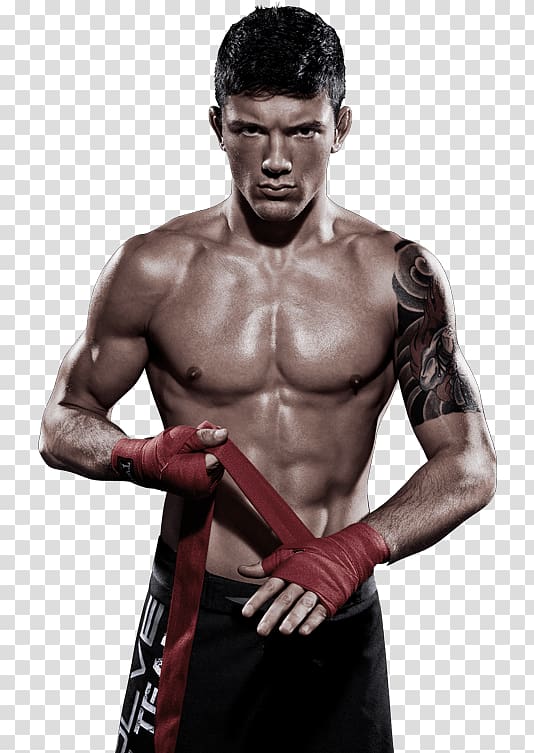 Bruno Pucci Mixed martial arts Evolve MMA Boxing, mixed martial arts transparent background PNG clipart