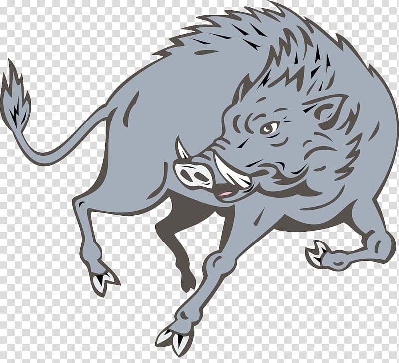 Wild boar Drawing illustration , Boar material transparent background PNG clipart