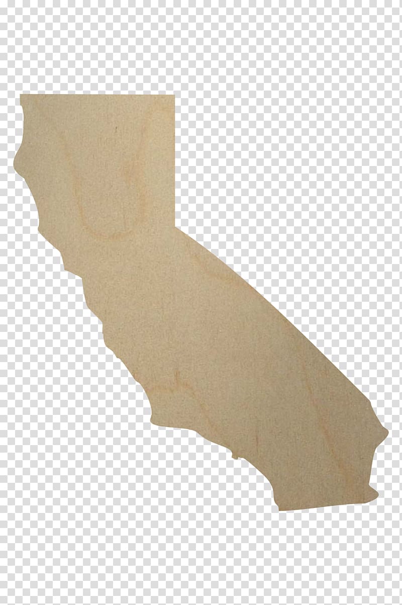 California grizzly bear South Carolina Food Quizlet, wooden transparent background PNG clipart