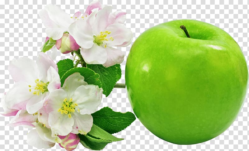 Apple Flower , cherry blossom transparent background PNG clipart