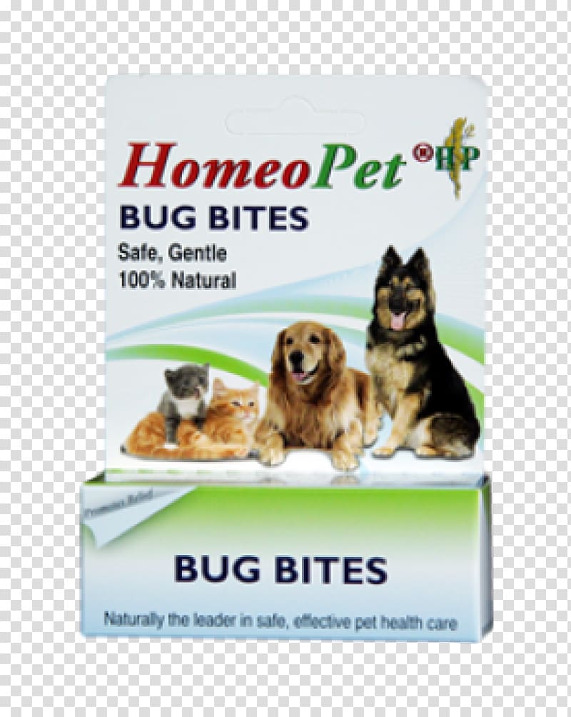 Dog Insect bites and stings Animal bite Cat Allergy, Mosquito Bite transparent background PNG clipart