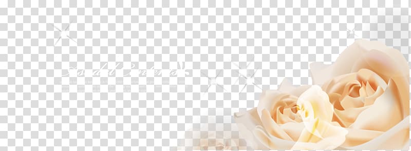 Garden roses Desktop Floral design Petal, Yellow Rose Dream shading transparent background PNG clipart