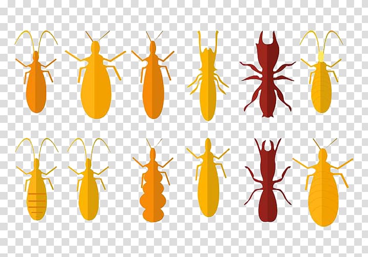 Insect Cricket, Yellow mantis insect cricket transparent background PNG clipart