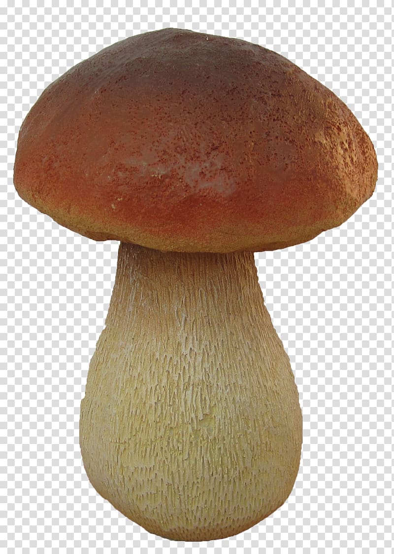 Pleurotus eryngii Mushroom Boletus edulis Fungus Amanita, mushroom transparent background PNG clipart