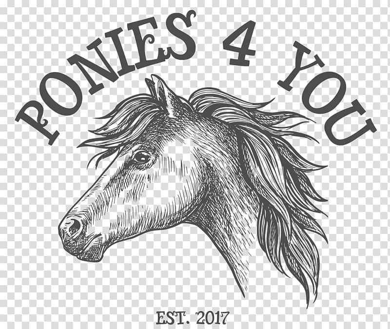 Mane Mustang Donkey Sketch Pack animal, field notes pony express transparent background PNG clipart