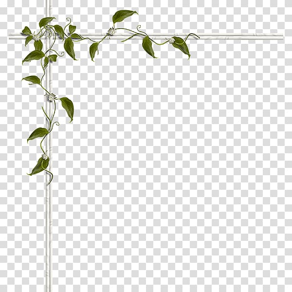 Common Grape Vine Vine pull schemes Pattern, Twining vine material transparent background PNG clipart