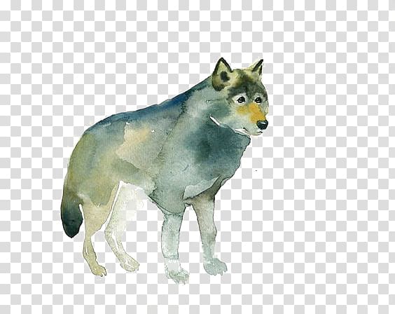 Gray wolf Red fox Watercolor painting Drawing, Wolf transparent background PNG clipart