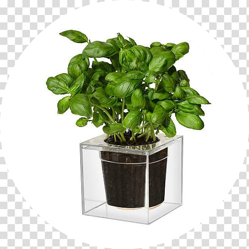 Flowerpot Cube Garden Watering Cans Container, cube transparent background PNG clipart