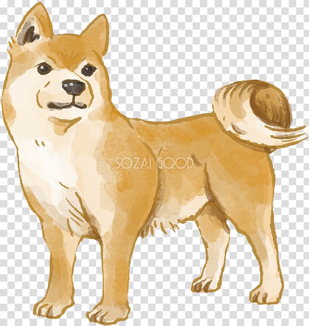 Ancient dog breeds Finnish Spitz Shiba Inu Pomeranian, Dog illust transparent background PNG clipart