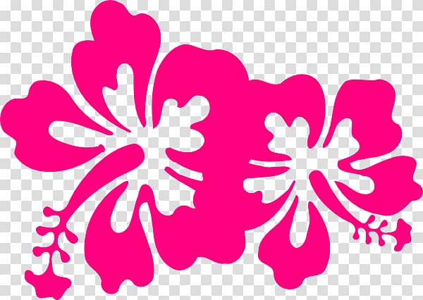 Hibiscus Pink flowers , others transparent background PNG clipart