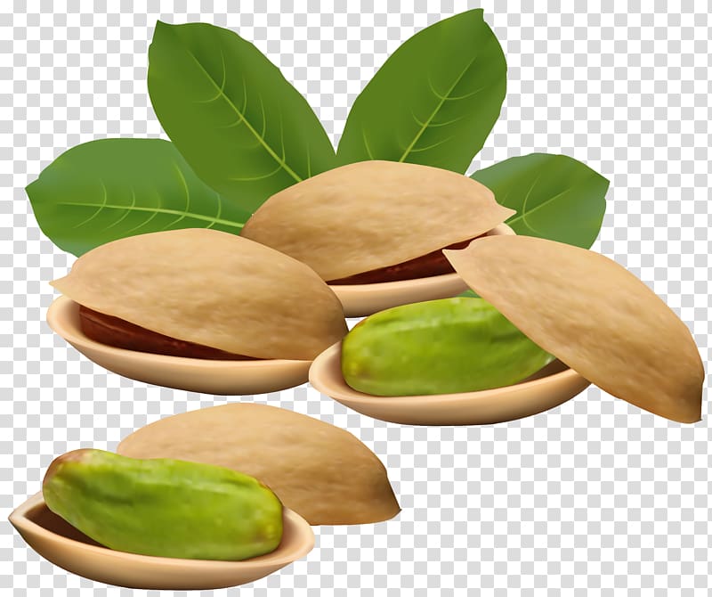 green nuts illustration, Pistachio illustration Nucule , Pistachio Nuts transparent background PNG clipart