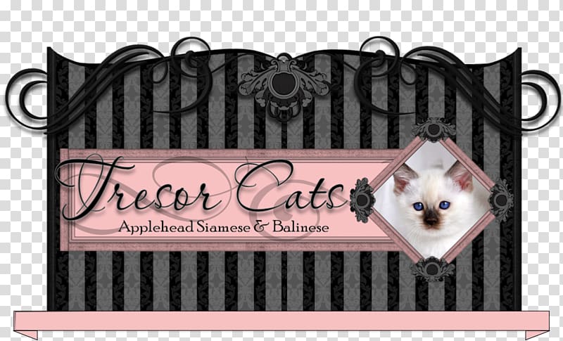 Siamese cat Balinese cat Thai cat Javanese cat Birman, kitten transparent background PNG clipart