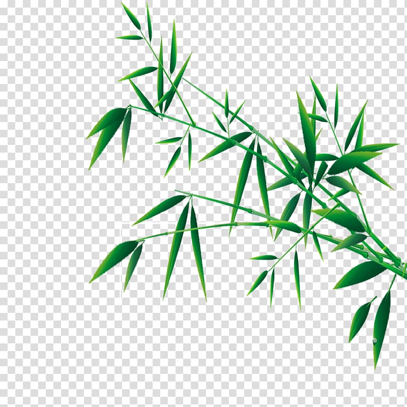 Bamboo Festival , bamboo transparent background PNG clipart