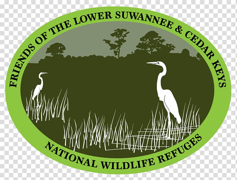 Lower Suwannee National Wildlife Refuge Cedar Keys National Wildlife Refuge Suwannee River Suwannee, Florida, others transparent background PNG clipart