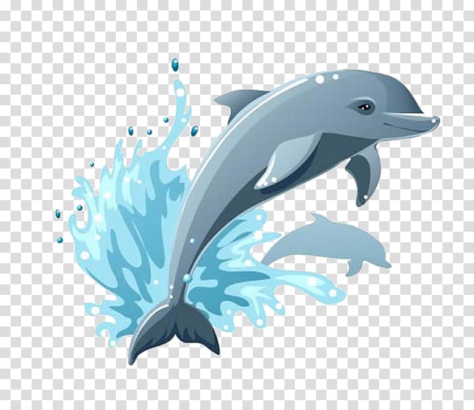 dolphin and water illustration, Cartoon Dolphin Drawing , Jumping dolphins transparent background PNG clipart
