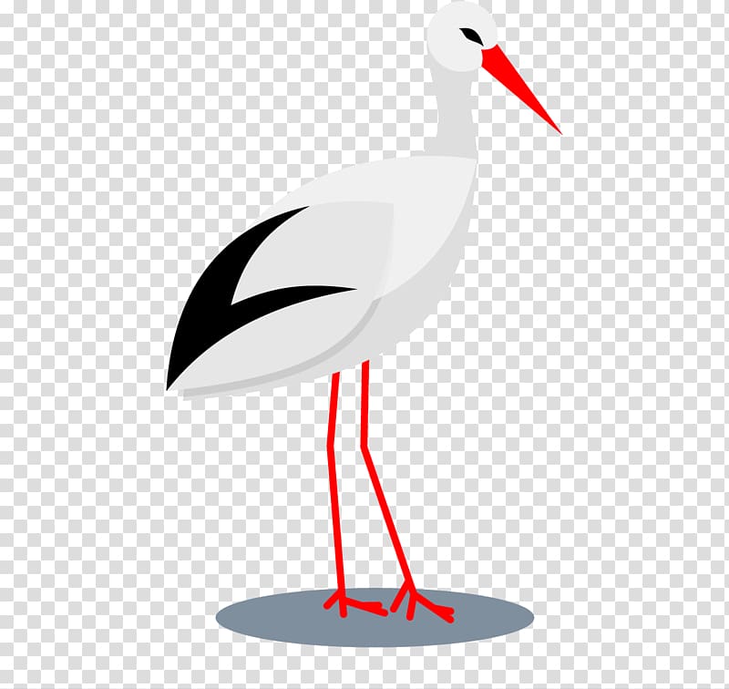 Bird Ciconia Beak Crane, illustration stork transparent background PNG clipart