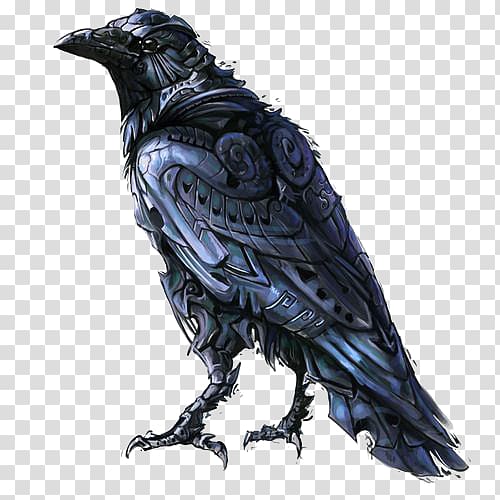 Visual arts Drawing Bird Illustration, crow transparent background PNG clipart