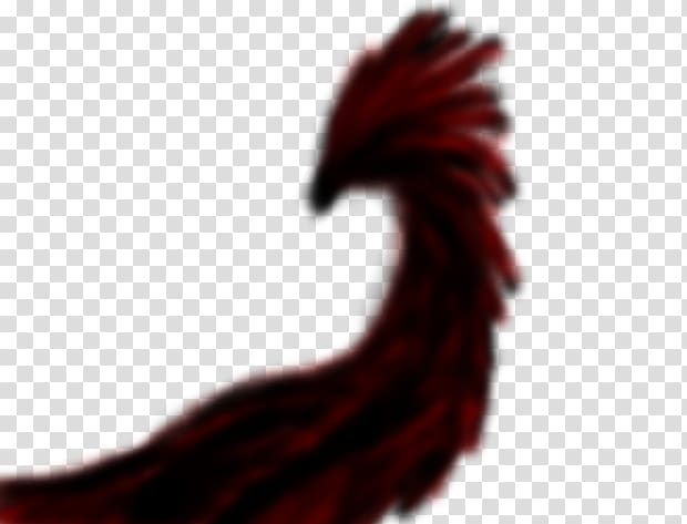 Rooster Close-up Font, phoenix wing transparent background PNG clipart