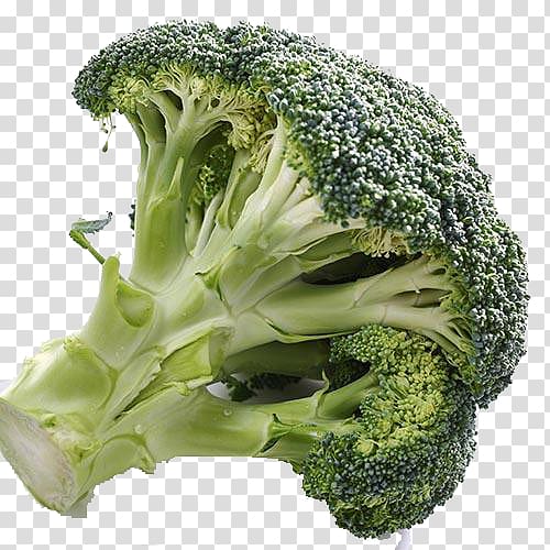 Broccoli Vegetable Cauliflower, Free pull broccoli transparent background PNG clipart