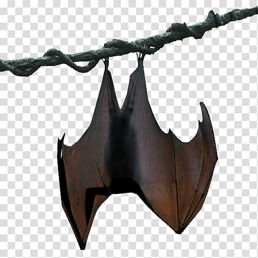 Franquet\'s epauletted fruit bat Buettikofer\'s epauletted fruit bat Megabat, bat transparent background PNG clipart