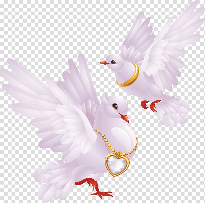 two white bird illustration, Columbidae Domestic pigeon Release dove Bird, White Pigeons transparent background PNG clipart