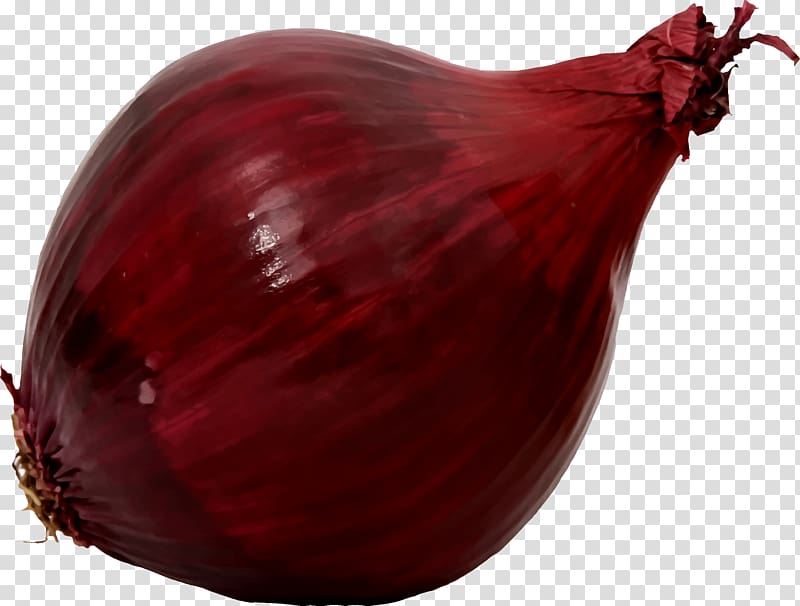 Shallot Red onion Food , cabbage transparent background PNG clipart