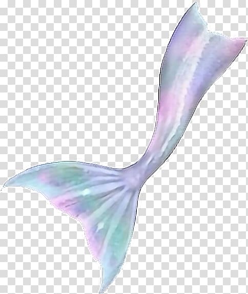 Mermaid Fin Fun Monofin Tail, Watercolor mermaid transparent background PNG clipart