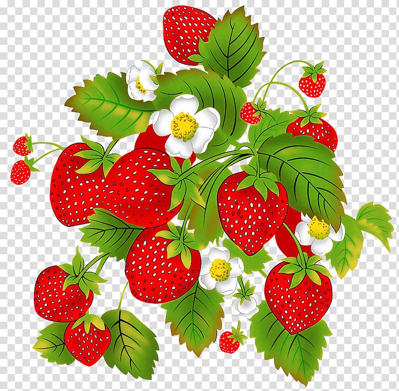 Strawberry Aedmaasikas Child Auglis Raspberry, Strawberry transparent background PNG clipart
