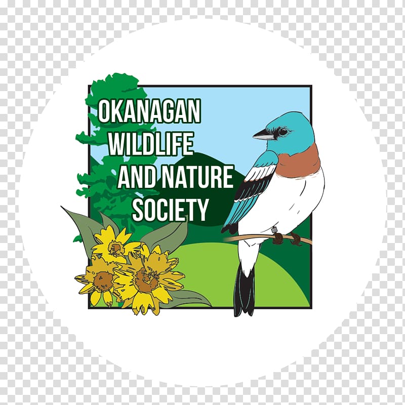 Okanagan Lake Meadowlark Nature Festival Kelowna, microgreens transparent background PNG clipart
