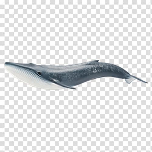 Sperm whale Schleich The Whale Cetacea Toy, toy transparent background PNG clipart