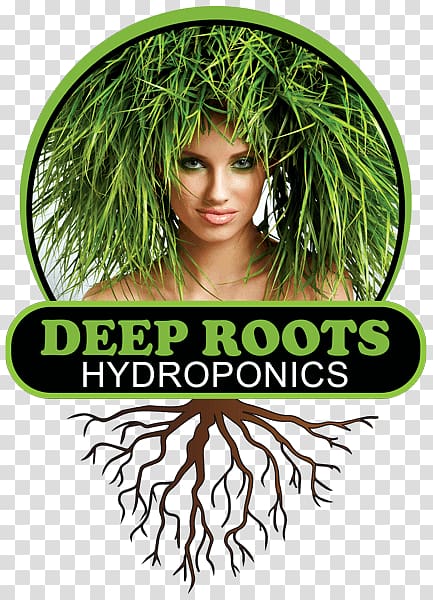 Deep Roots Hydroponics Sebastopol Retail, organic hydroponic farming transparent background PNG clipart